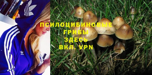 дурь Няндома