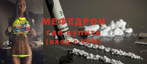 дурь Няндома