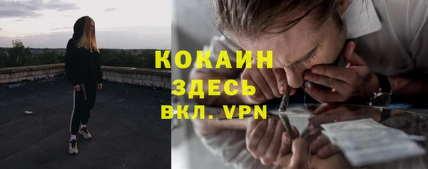 дурь Няндома