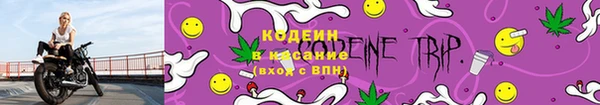 дурь Няндома