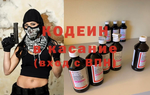 дурь Няндома