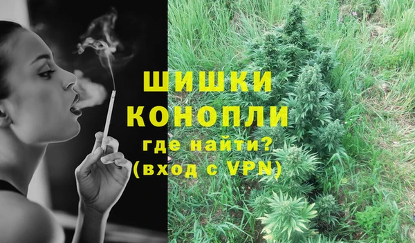 дурь Няндома