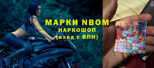 дурь Няндома